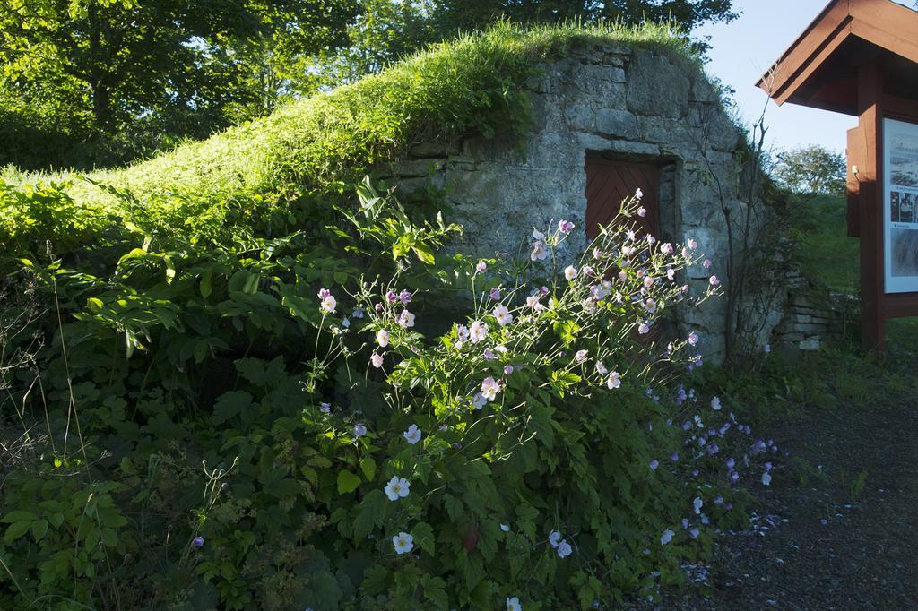Loefwings B&B Broddetorp Zewnętrze zdjęcie